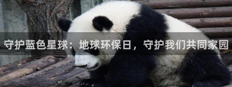 JDB电子夺宝组件下载