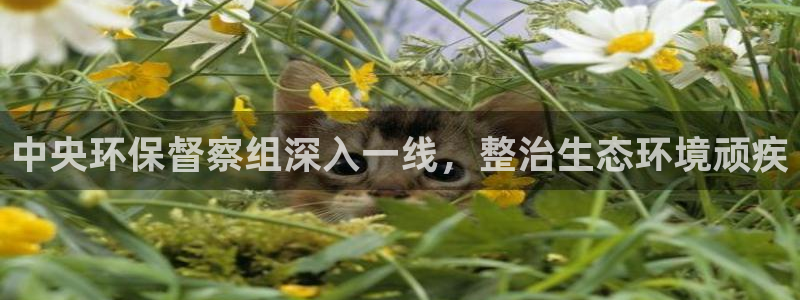 jdb电子游戏平台网站