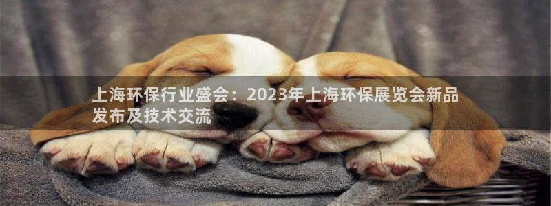 jDB电子下载