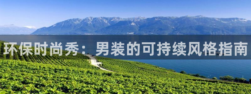JDB电子游戏花开富贵怎么打