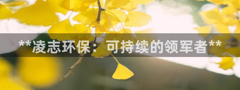 jdbc用户注册