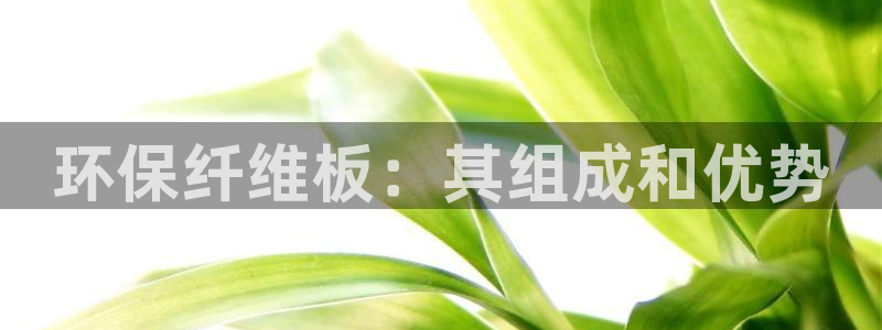 jdb五龙捕鱼app下载