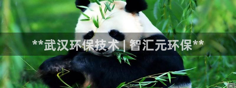 jdb电子游戏麻将无双