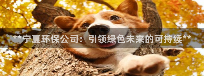 jdb夺宝游戏如何中巨奖