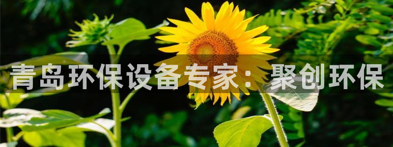jdb游戏麻雀无双大奖视频