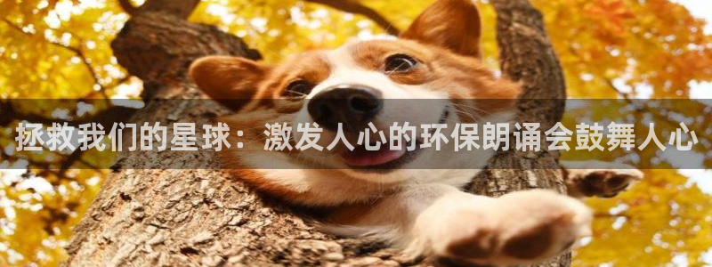 jdb电子夺宝游戏试玩