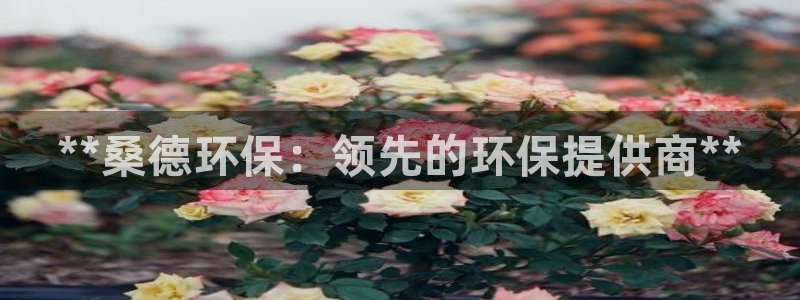 JDB电子官方网站