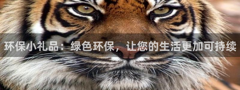 jdb电子平台ly7 9。cn