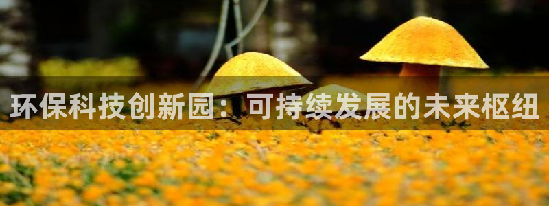 jdb电子金刚玩法