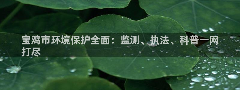 jdb台湾黑熊破解