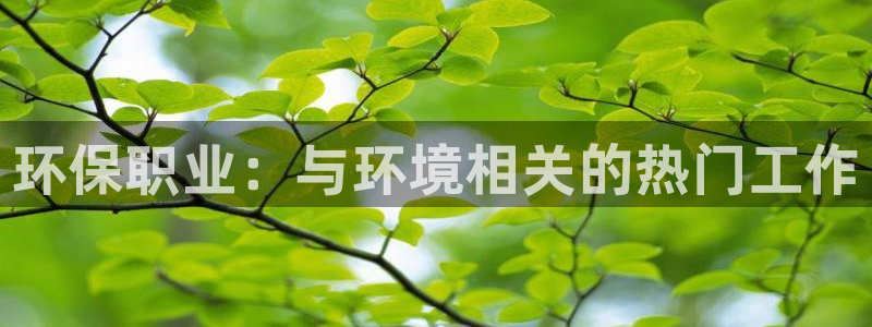 jdb电子是哪里开发的游戏
