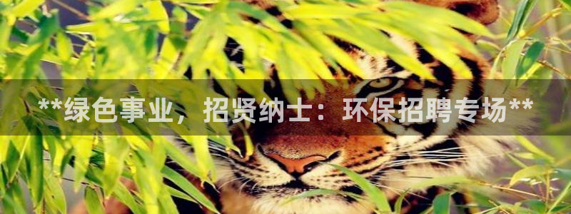 jdb电子飞鸟派对游戏