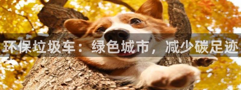 jdb电子技巧金刚