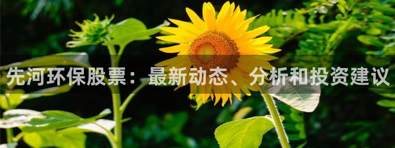 jdb电子官网3.8.2.2.2.3主管还