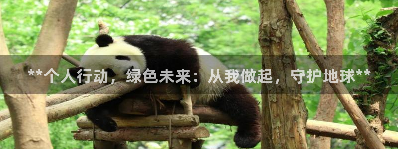jdb电子飞鸟派对游戏
