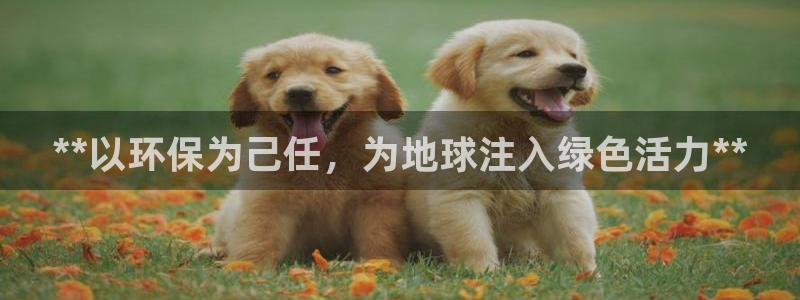 JDB电子游戏哪个容易赢