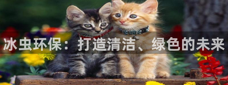 jdb电子官网官方网站