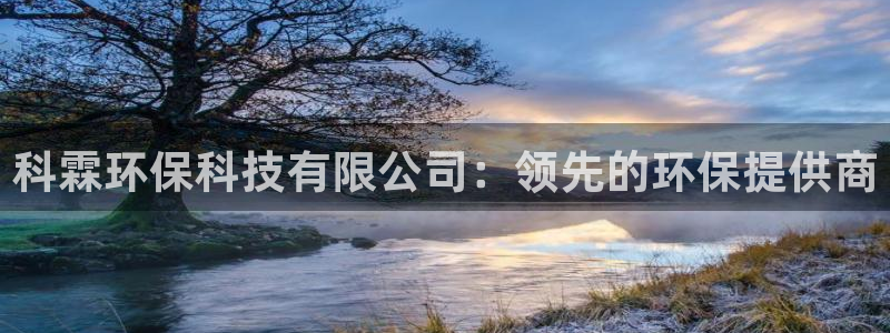JDB电子游戏飞鸟派对
