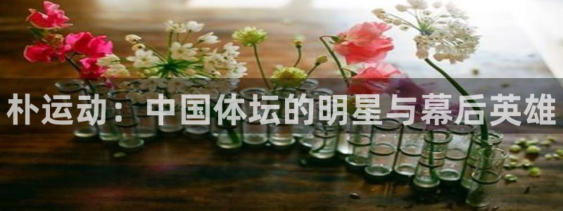 xc体育：朴运动：中国体坛的明星与幕后英雄