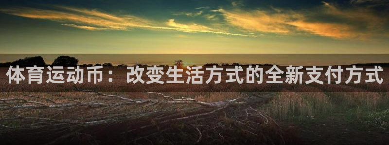 xc体育：体育运动币：改变生活方式的全新支付方式