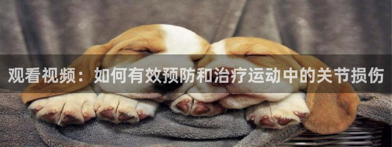 xc体育：观看视频：如何有效预防和治疗运动中的关节损伤