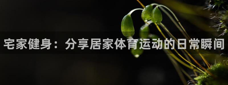 xc体育：宅家健身：分享居家体育运动的日常瞬间
