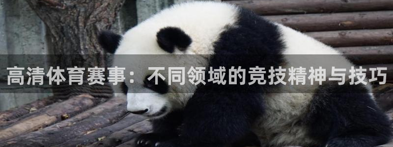 xc体育：高清体育赛事：不同领域的竞技精神与技巧