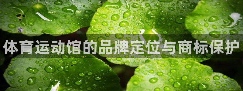 xc体育：体育运动馆的品牌定位与商标保护