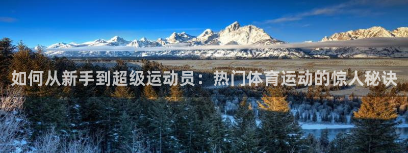 xc体育app官方网站：如何从新手到超级运动员：热门体育运动的惊人秘诀