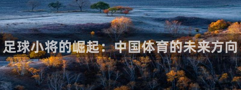 xc体育app官方网站：足球小将的崛起：中国体育的未来方向