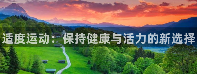 xc体育：适度运动：保持健康与活力的新选择