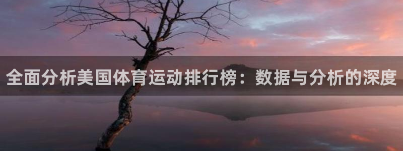xc体育：全面分析美国体育运动排行榜：数据与分析的深度