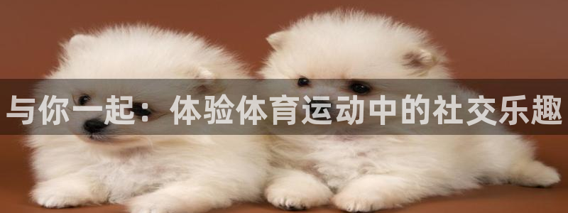 xc体育：与你一起：体验体育运动中的社交乐趣