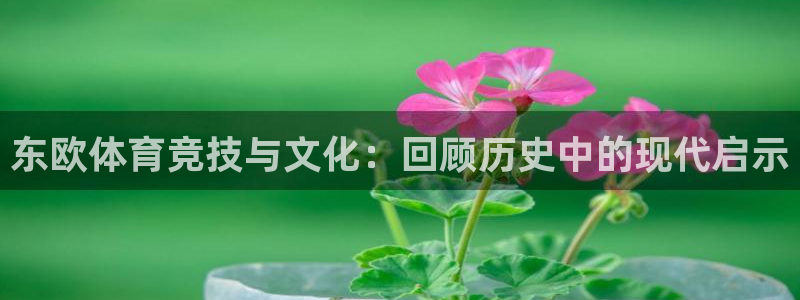 xc体育app官方网站：东欧体育竞技与文化：回顾历史中的现代启示