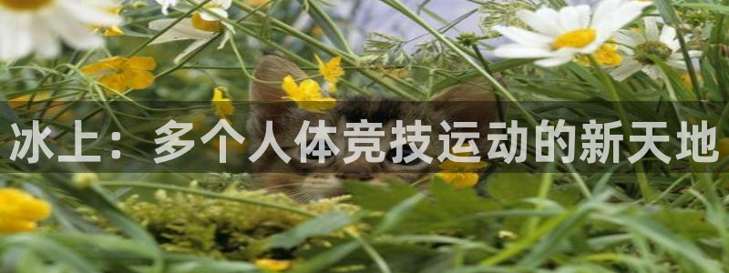 xc体育：冰上：多个人体竞技运动的新天地