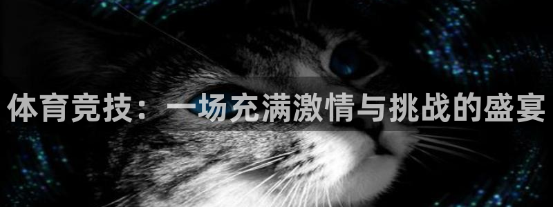 xc体育：体育竞技：一场充满激情与挑战的盛宴