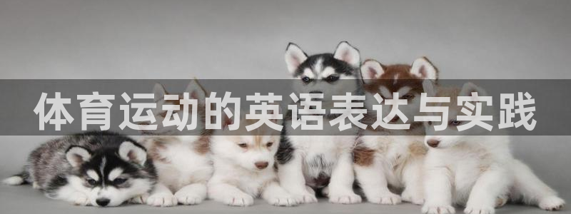 xc体育：体育运动的英语表达与实践