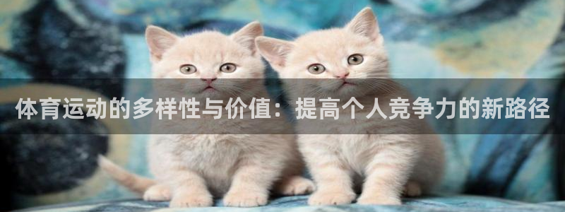 xc体育：体育运动的多样性与价值：提高个人竞争力的新路径
