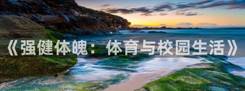 xc体育：《强健体魄：体育与校园生活》