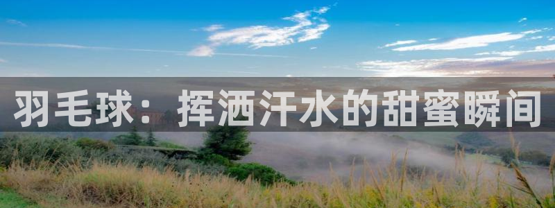 xc体育app官方网站：羽毛球：挥洒汗水的甜蜜瞬间