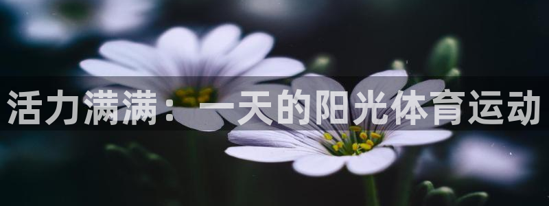 xc体育app官方网站：活力满满：一天的阳光体育运动