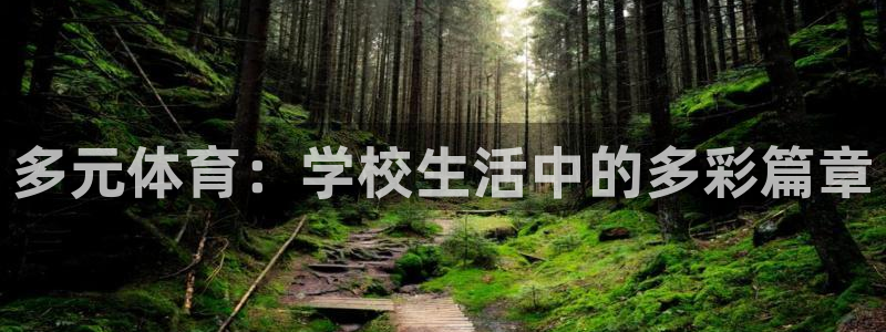 xc体育app官方网站：多元体育：学校生活中的多彩篇章