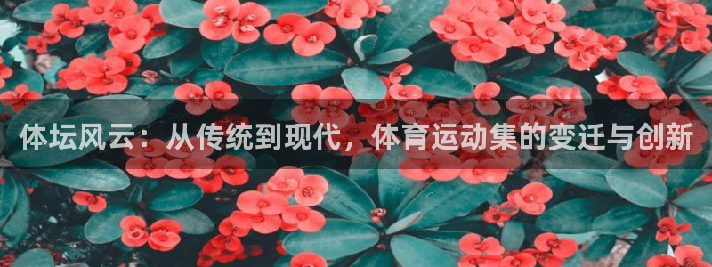 xc体育app官方网站：体坛风云：从传统到现代，体育运动集的变迁与创新