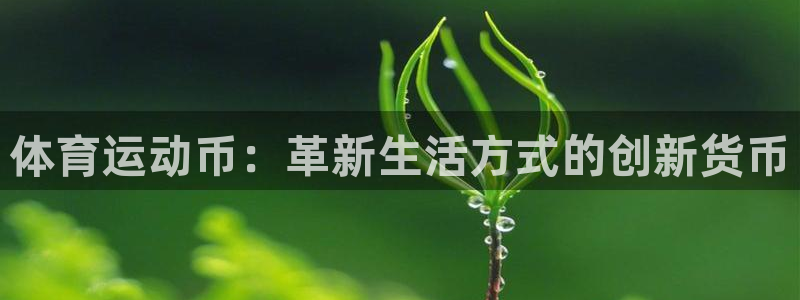 xc体育：体育运动币：革新生活方式的创新货币