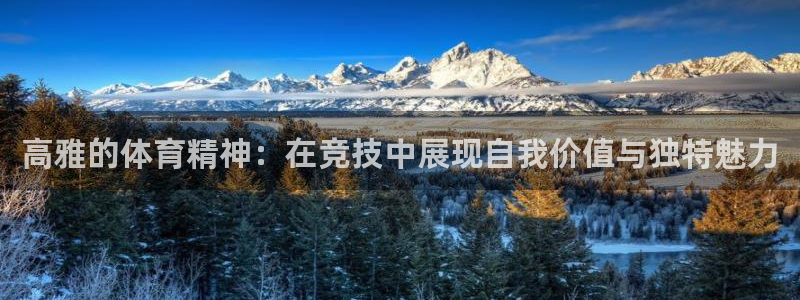 xc体育：高雅的体育精神：在竞技中展现自我价值与独特魅力