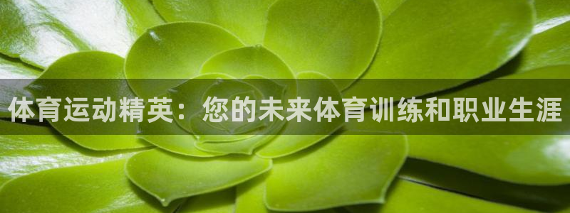 xc体育：体育运动精英：您的未来体育训练和职业生涯