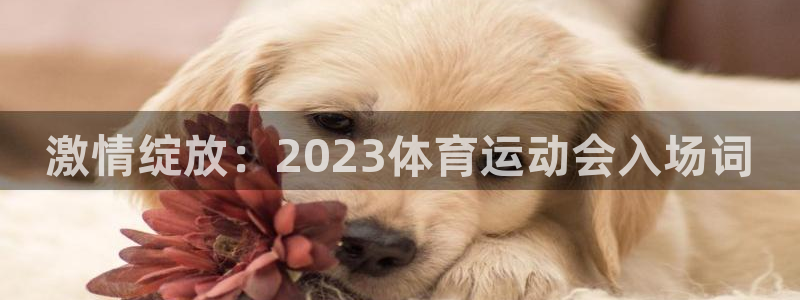 xc体育app官方网站：激情绽放：2023体育运动会入场词